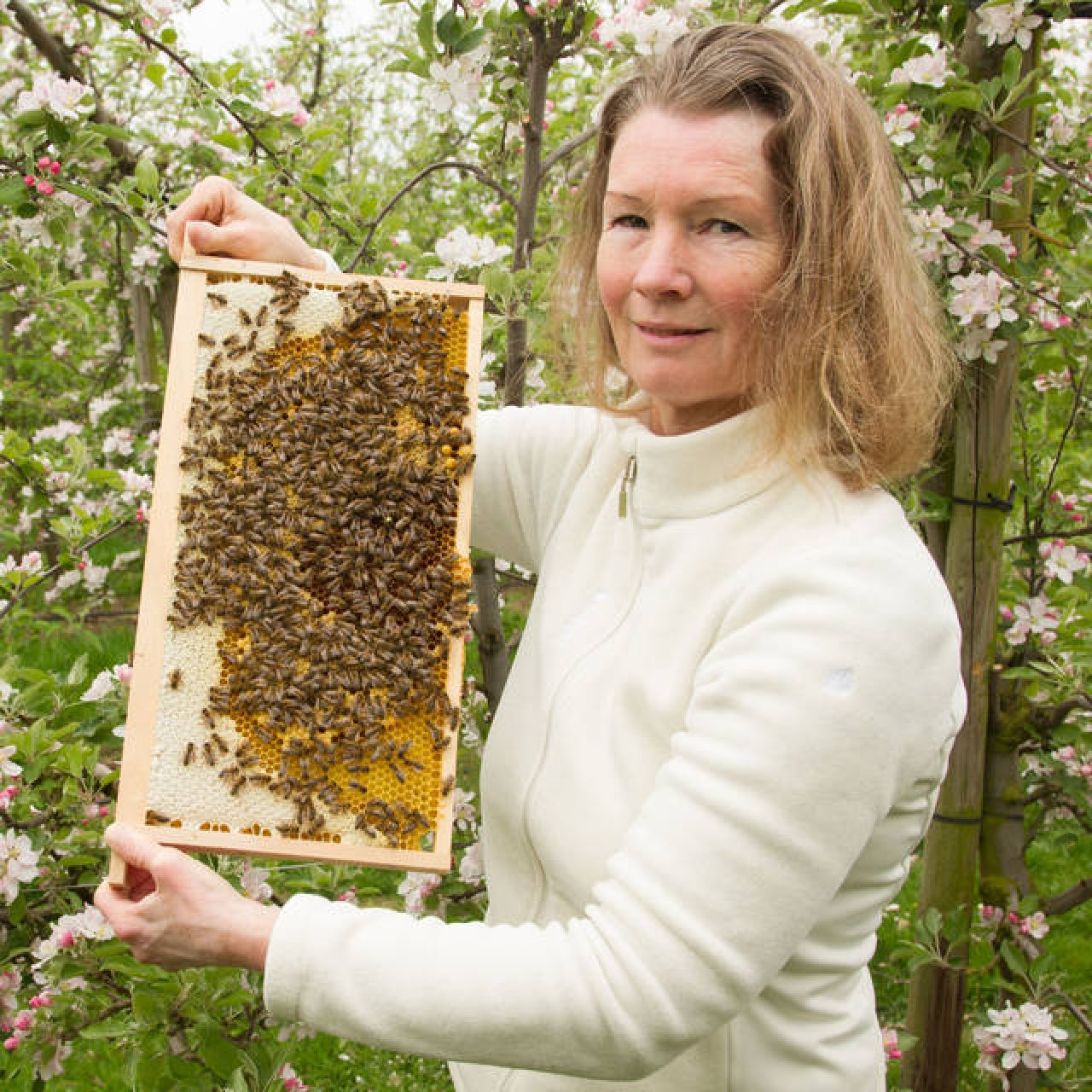 Frau mit Bienenstock in der Hand vor Apfelblüten.