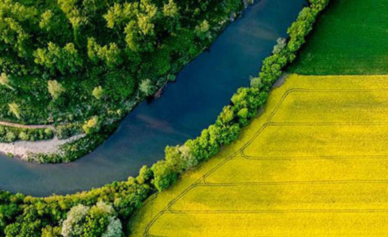 Blick auf einen Fluss aus Vogelperspektive. Links ist grüner Wald, rechts ist ein gelb blühendes Rapsfeld.