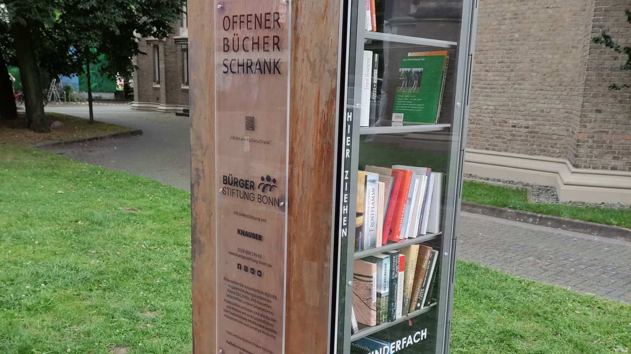 Bücherschrank mit vielen Büchern auf einer grünen Wiese.